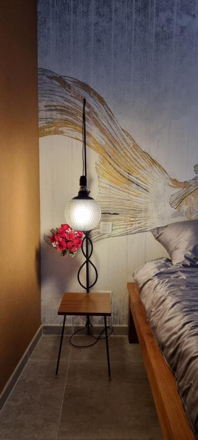 אוסטנדה Logies La Chevre Folle - Lodging & Cooking In Style With Shared Kitchen מראה חיצוני תמונה