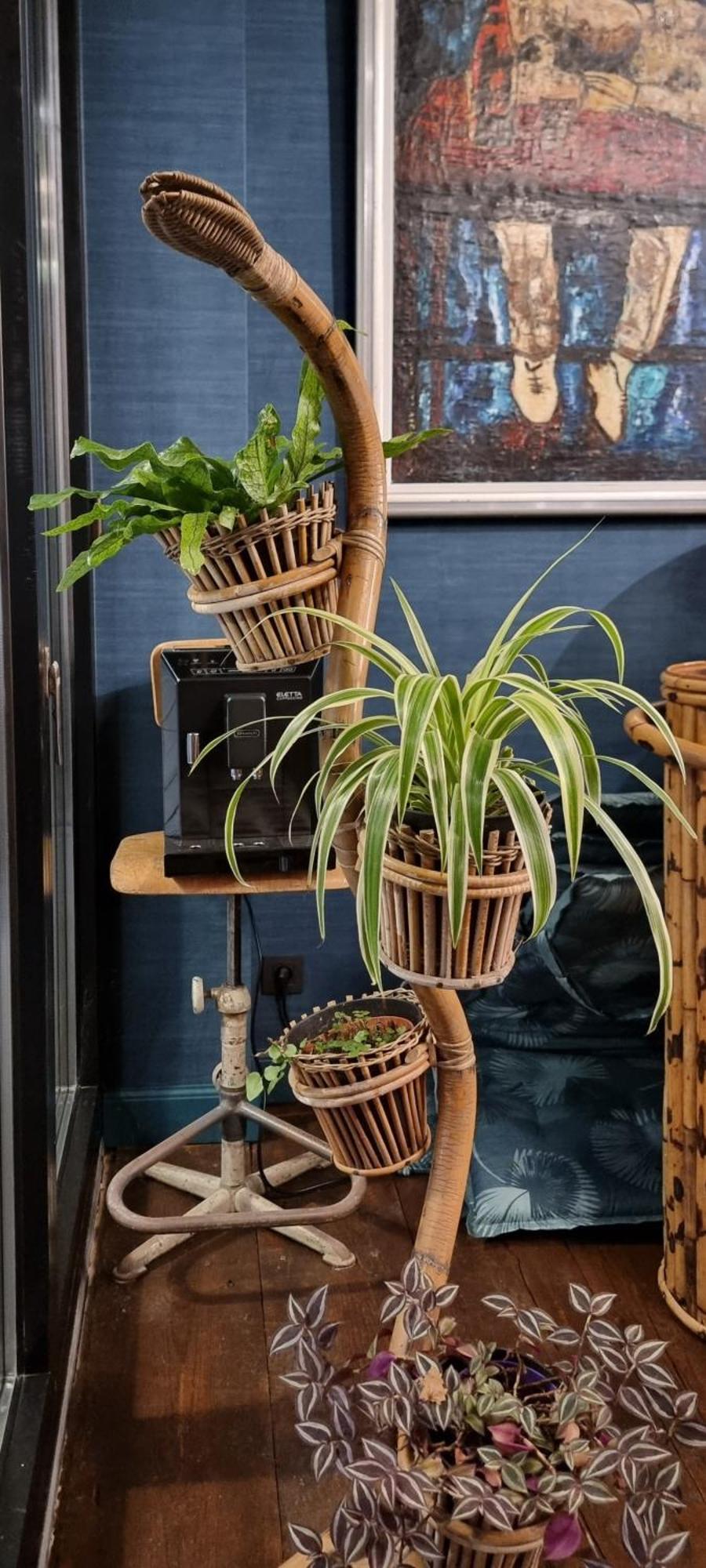 אוסטנדה Logies La Chevre Folle - Lodging & Cooking In Style With Shared Kitchen מראה חיצוני תמונה